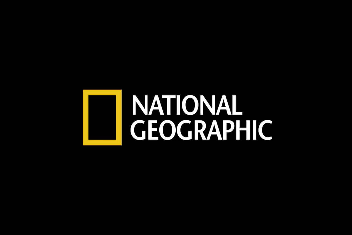 Logo màu vàng của National Geographic thể hiện sự uy tín và tin cậy