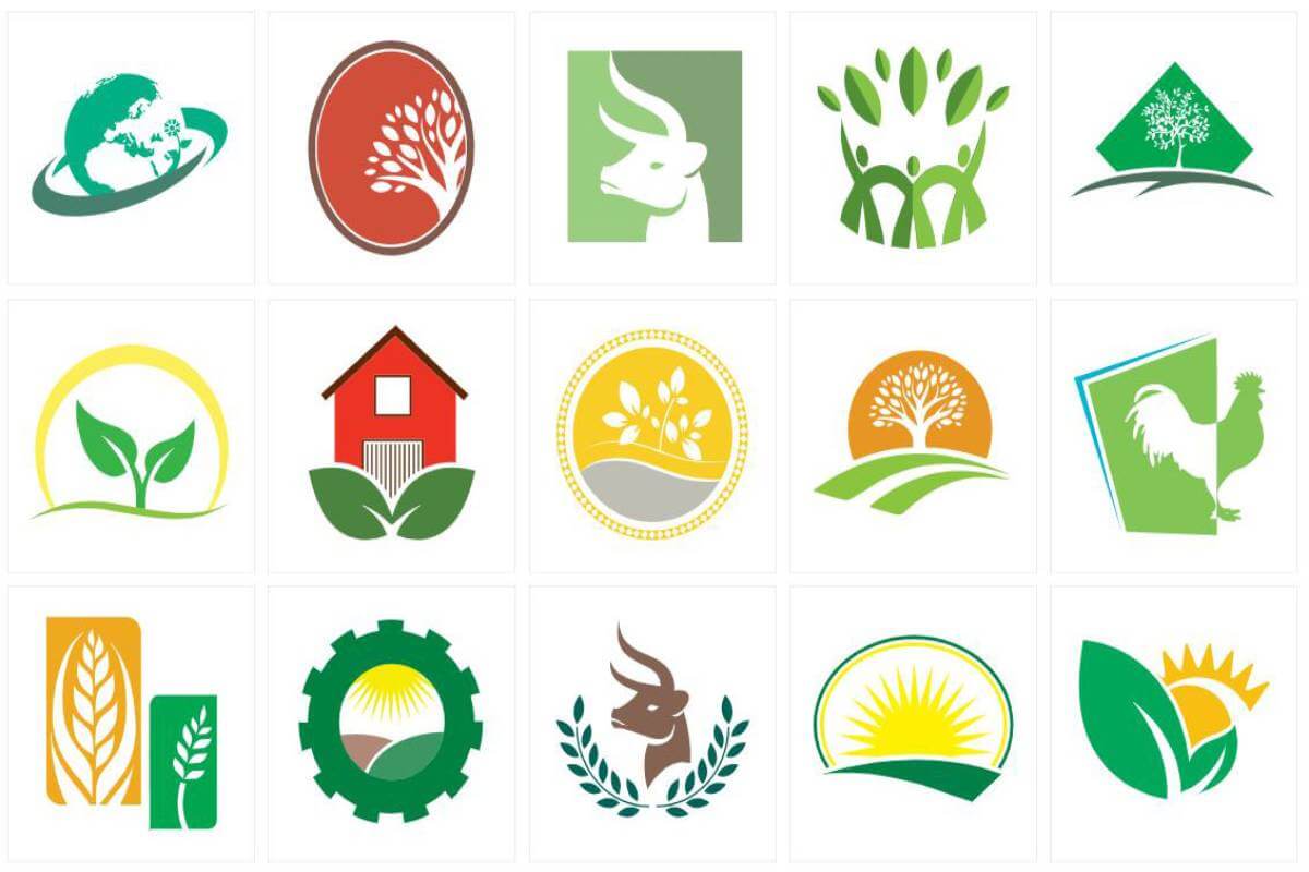 Logo nông sản tượng trưng cho bản chất và định hướng của doanh nghiệp